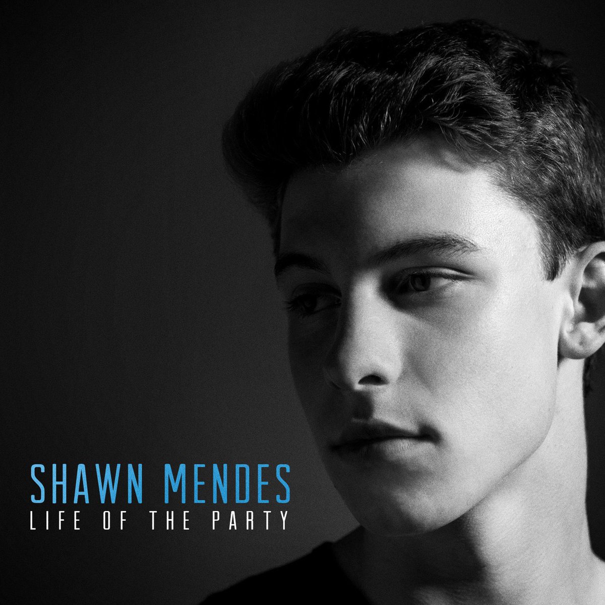 ShawnAccess's tweet photo. 10 YEARS. 10 years since @ShawnMendes released his first single “Life of the Party” that started it all. To those of you who have been here since day 1 and to anyone who joined us at any point along the way, thank you. We’re so grateful for you guys and can’t wait for what’s to come. Let’s celebrate by sharing your favorite Shawn memories with us  #10YearsOfShawnMendes