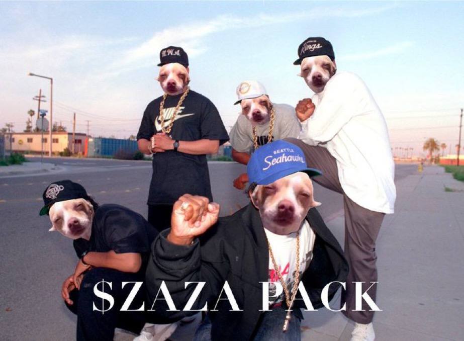 SebOnSol's tweet photo. The ZAZAVERSAL is in effect Wolf. 

When have you seen a project go through what we have as a community and recover? 

This is a story that is going down in the history books of Solana.

CA:3QJzpi68a3CUVPGVUjYLWziGKCAvbNXmC5VFNy1ypump

CA: 3QJzpi68a3CUVPGVUjYLWziGKCAvbNXmC5VFNy1ypump