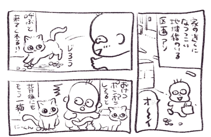 5兆年ぶりに日記漫画書いたけど完成しなかった ちなみに内容は全人類に対するマウント🐈