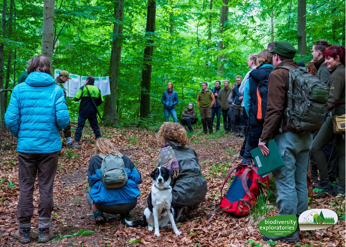 Biodiversitäts-Exploratorien tweet media