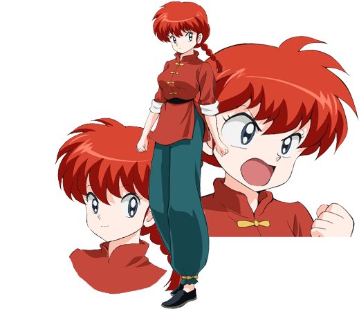 1枚目早乙女らんま 2枚目シャンプー 3枚目天道あかね 4枚目響良牙