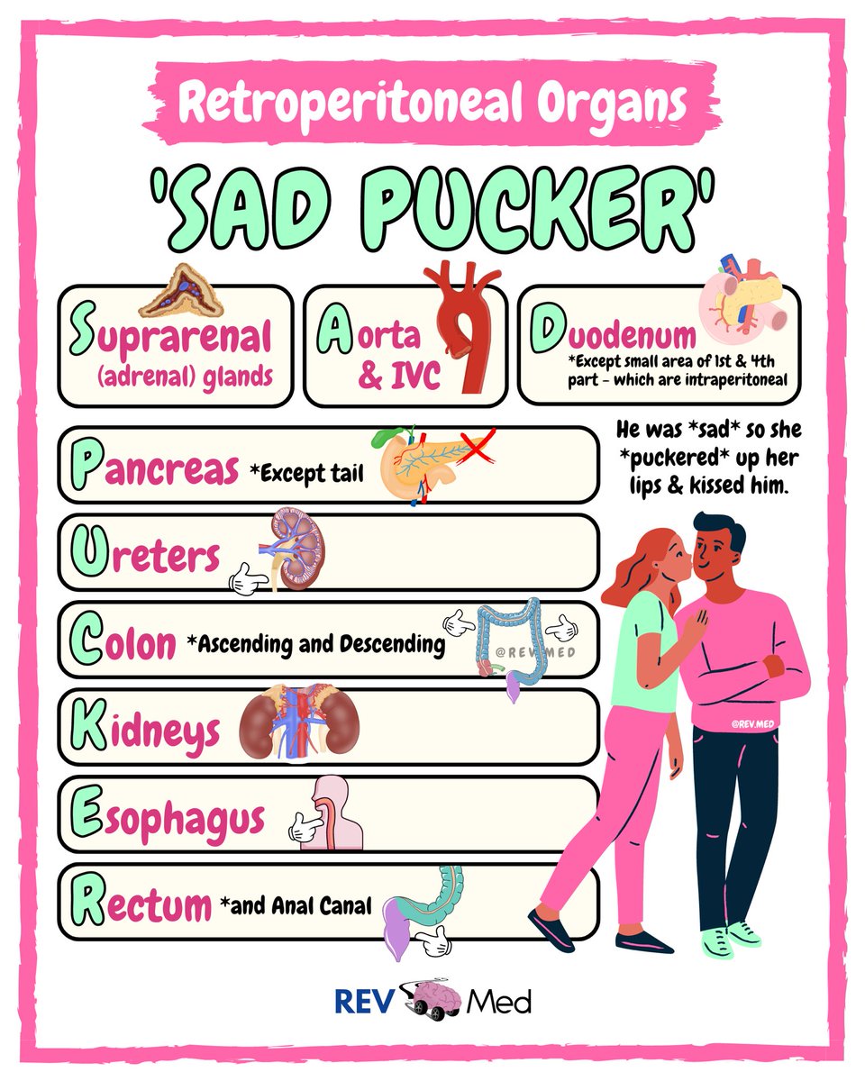 Retroperitoneal Organs are remembered by the Mnemonic ‘SAD PUCKER’

💋 💭 He was *sad*… so she *puckered* up her lips and kissed him. In *retrospect*, I wish I had cherished those *puckered* up kisses. The fiery desire within me begged for another taste, ‘or again’. #medschool