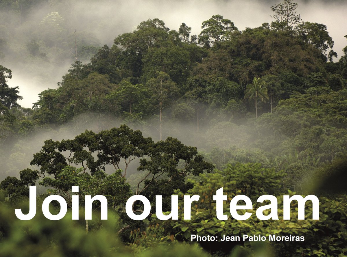 Are you a Programme Manager with solid experience developing and leading global, multi-million-dollar projects? Have you set up new systems to award and administer multiple grants for conservation projects internationally? If yes, click the link! cambridgeconservation.org/vacancy-cci-st…