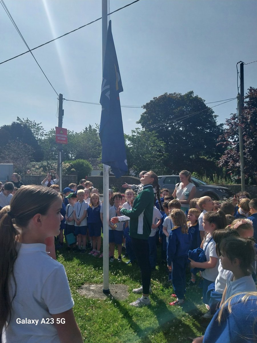 Our Lady of The Wayside tweet media