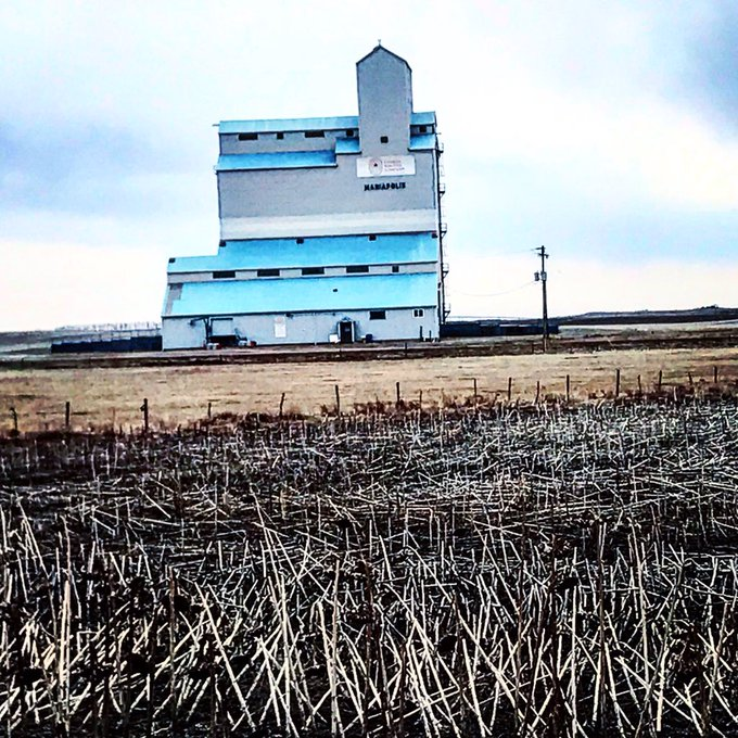 Canada's Grain tweet media