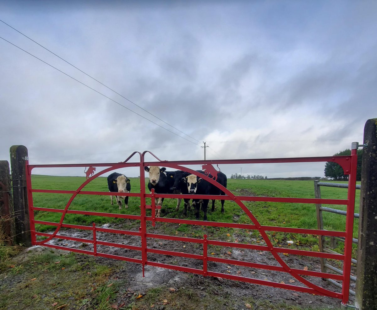 Calling all all farmers in Rathcroghan area Co.Roscommon.Information Meeting on Just Transition Fund on  Thurs.4th July Tulsk Macra Hall at 7.00pm. Project open for expressions of interest and registration.
richie@farmingrathcroghan.ie