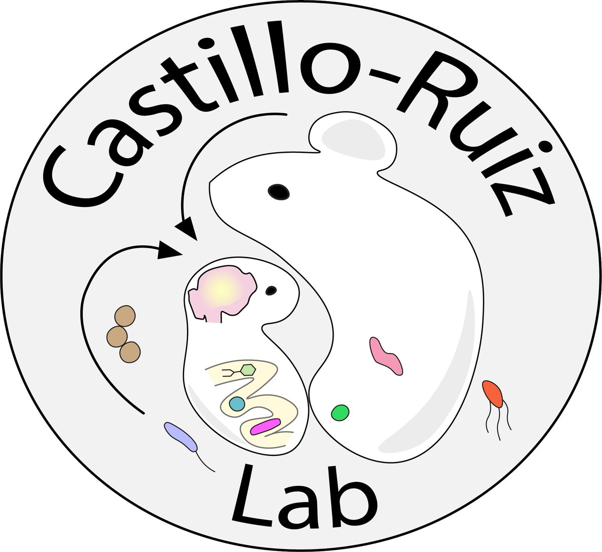 Alexandra Castillo-Ruiz (@neuro_dralex) on Twitter photo Thrilled to report that the Castillo-Ruiz lab will start this fall <a href="/MsuPsychology/">MSU Psychology</a>. Interested in neurodevelopment 🧠, microbiota 🦠, and birth mode? Contact me! I am recruiting grad students and a tech. Thrilled to report that the Castillo-Ruiz lab will start this fall <a href="/MsuPsychology/">MSU Psychology</a>. Interested in neurodevelopment 🧠, microbiota 🦠, and birth mode? Contact me! I am recruiting grad students and a tech.