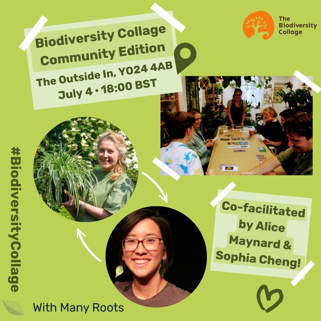Calling all curious minds! 🌱 Join us for a very special Biodiversity Collage @theoutsideinyork, and uncover the intricacies of our impact on biodiversity. All are welcome!

Intrigued? Follow the link in the bio! 

#biodiversitycollage #whatsoninyork #outsideinyork