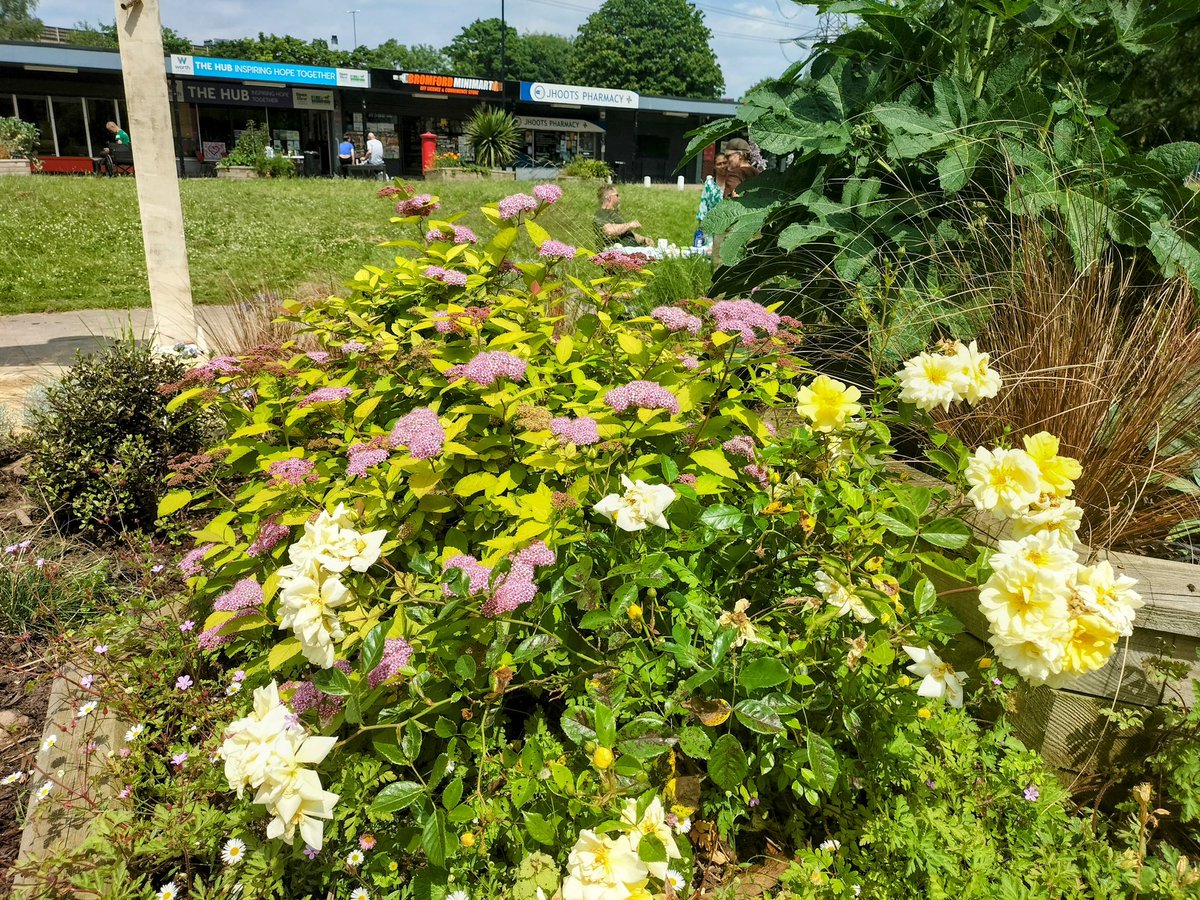 Every Wednesday 10am - 1pm our Green Connectors will be based at the Hub tending the Pocket Park and planters. Pop along to lend a hand with watering and weeding, to harvest some of the herbs, veg and fruit growing there, or just to find out more about what is growing 🌱💚🌸🐝