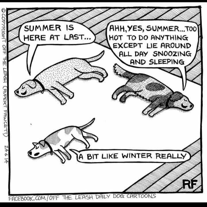 Pet sitting