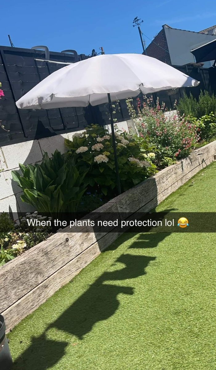 Shitlawns's tweet photo. More like "When your #Shitlawn creates a heat island that your plants can't handle" https://t.co/V7pVin9ei3