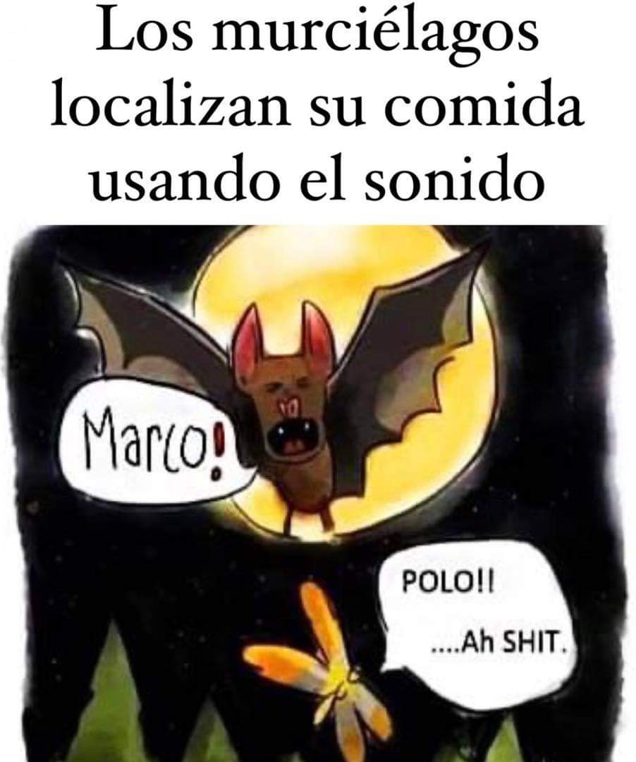 ErigolDelViento's tweet photo. https://t.co/wOeiZbr1Kx