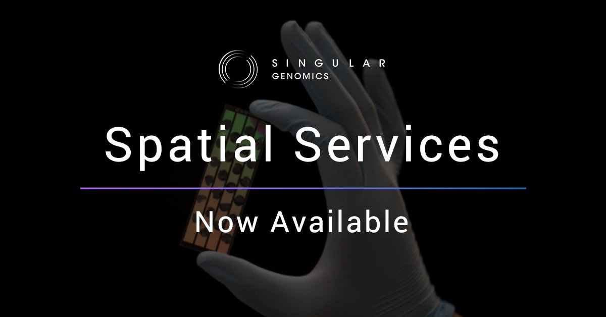 SingularGenomic's tweet image. Interested in accessing the latest high-resolution #spatial multiomics technology for your next project? Lets chat.

We are thrilled to provide access to the G4X through our Spatial Services program.

Start your project and connect with an expert today: bit.ly/4bn8BEK