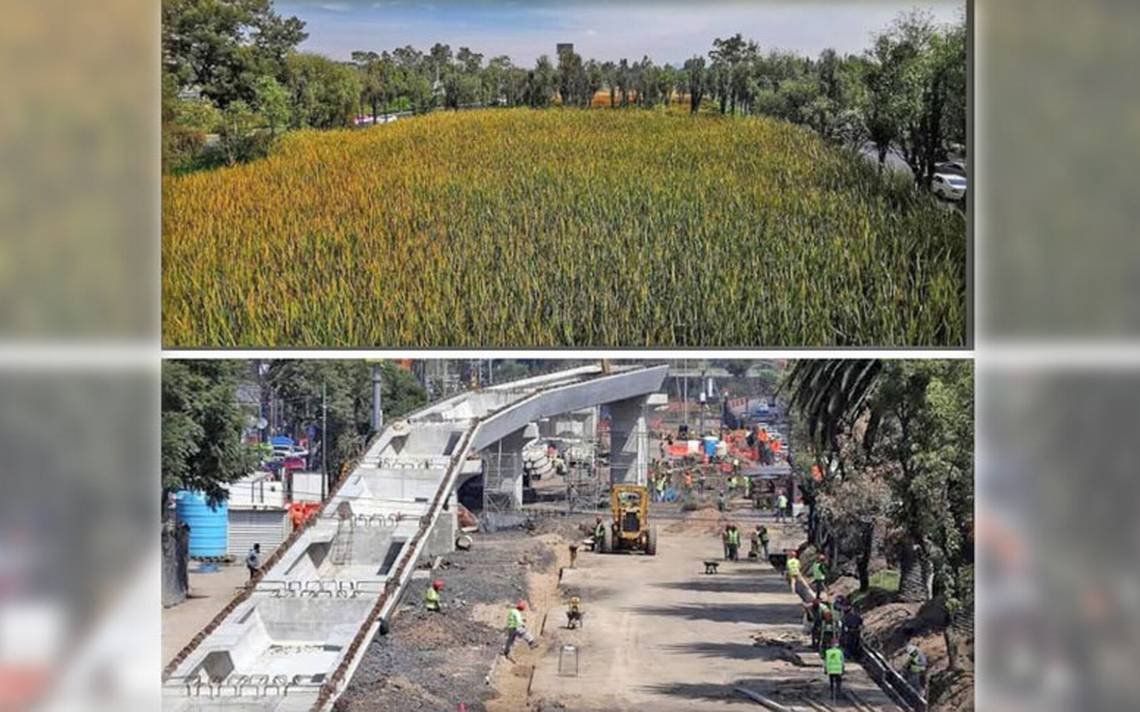 Xochimilco Vivo tweet media