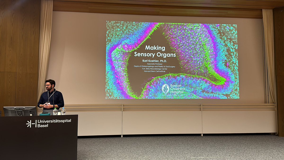BaCell3D (@bacell3d) on Twitter photo After trying for a year we finally managed to get <a href="/krkoehler/">Karl Koehler</a> as our 2nd keynote speaker for @Bacell3D 2024. Inner ear and skin organoids! Beautiful and inspiring conclusion to the meeting with a historical perspective, applications of the systems, limitations and vision outlook! After trying for a year we finally managed to get <a href="/krkoehler/">Karl Koehler</a> as our 2nd keynote speaker for @Bacell3D 2024. Inner ear and skin organoids! Beautiful and inspiring conclusion to the meeting with a historical perspective, applications of the systems, limitations and vision outlook!