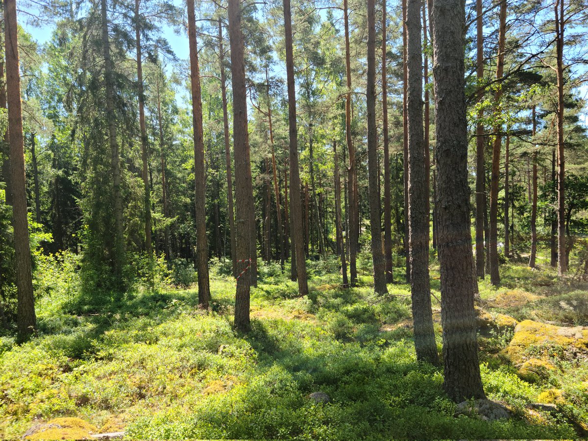 Elena Rubino tweet media