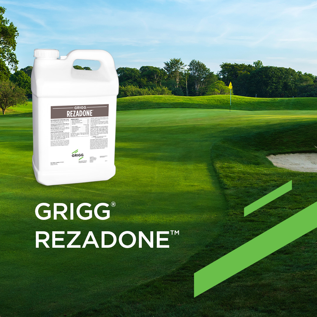 BRANDT_co's tweet photo. Introducing GRIGG Rezadone, a new solution for turf health. This innovative product breaks down thatch and black layer, enhancing vitality and soil health. Learn more here: https://t.co/OhryY8Cr0b
#GRIGG #BRANDT #TurfSolutions #TurfHealth #TurfProduct #NewProduct https://t.co/ws3Lc5920T