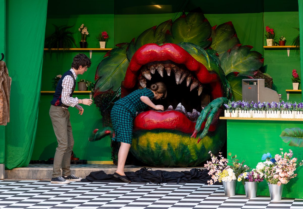 BradfieldCol's tweet photo. Audrey 2 has left the building! After four amazing performances, ‘Little Shop of Horrors’ comes to a close.  Thank you to everyone who made this production possible and to our fantastic audiences for their support. Until next time, remember: don’t feed the plants! #bradfielddrama https://t.co/N2vvEeawkQ