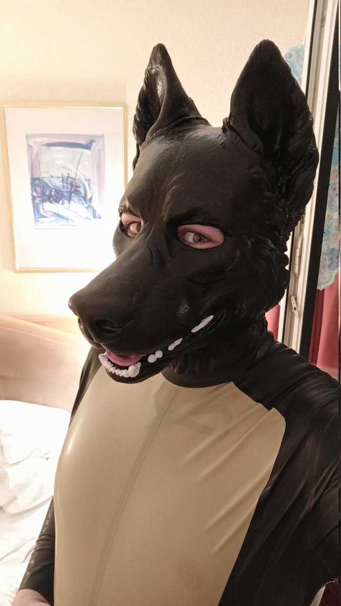 Dog_Nebaka's tweet photo. Oh hello there, sexy 🖤

✂️: @SnapJawForge 

#petplay #pupplay #pet #pup #kink #rubber #fetish #snapjaw #rubberdog https://t.co/IMQ9IlNcVj