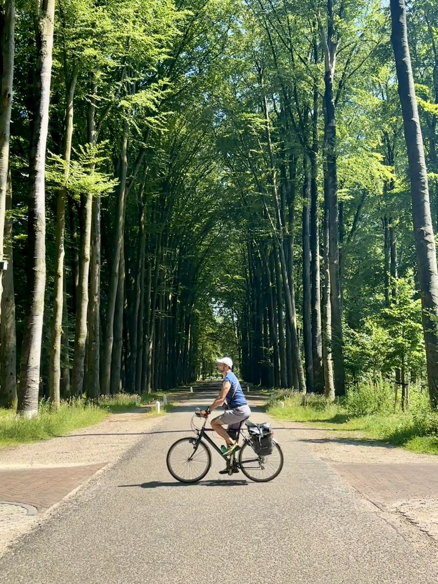 avelezig's tweet image. #Apeldoorn