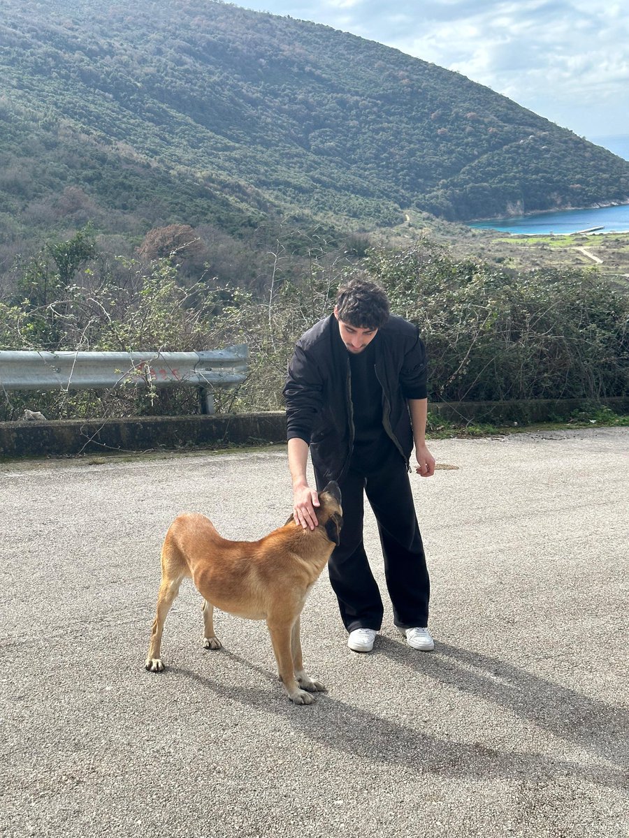 Bu gün köpeklerin vahşice katledilmesini savunanlar aynısını yarın kediler için de isteyecek. Peki sonra sıra kime gelecek? "Kuşlar hastalık yayar, böcekler haşeredir, ağaçlar yaprak döküp etrafı kirletir." Sorunu bu masumlarda değil bitmek bilmeyen iğrenç nefretinizde arayın.