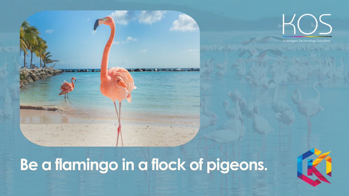 KingfisherOS's tweet photo. Partner with a quality technology provider to ensure your business stands out to your audience 📷
https://t.co/nfGWz3tHj4
#managedtechnology https://t.co/641YBgBrYS