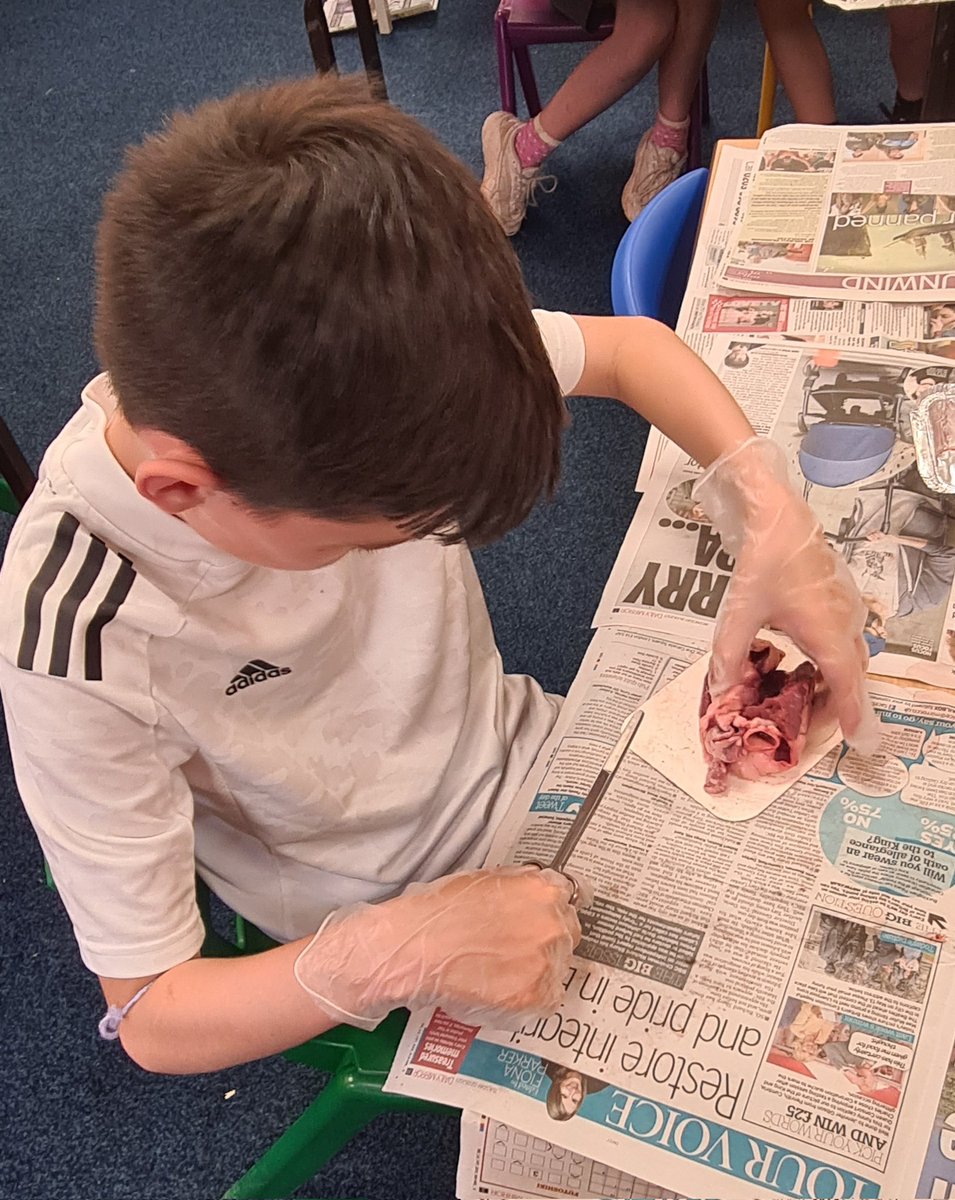 @hcpsleeds tweet media