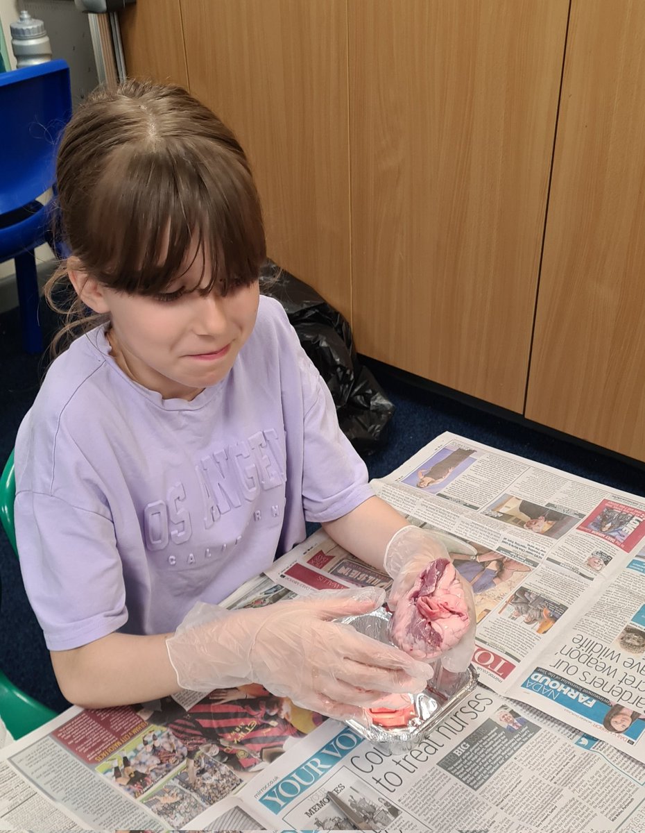 @hcpsleeds tweet media
