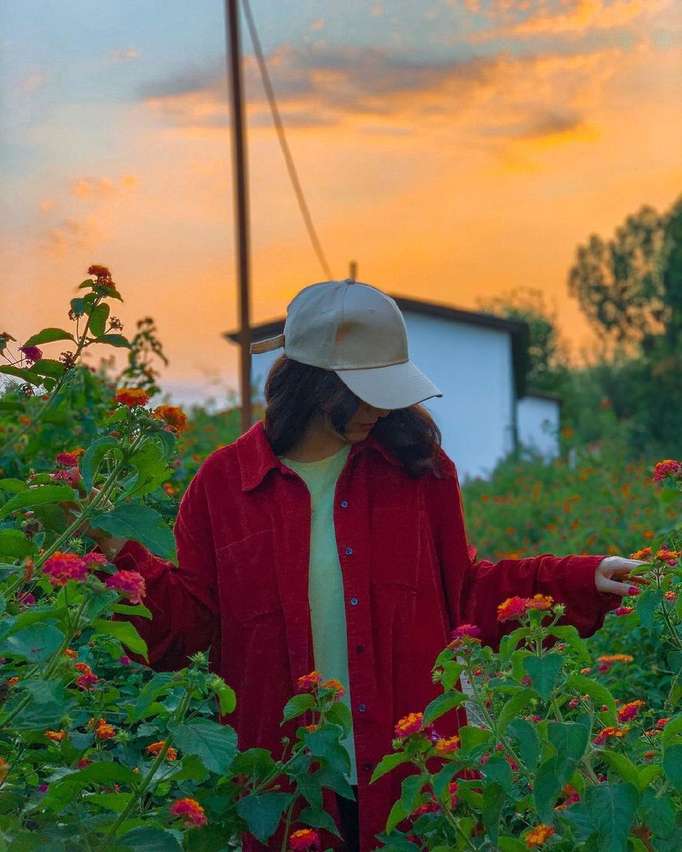 ♥️MITRA♥️ tweet media