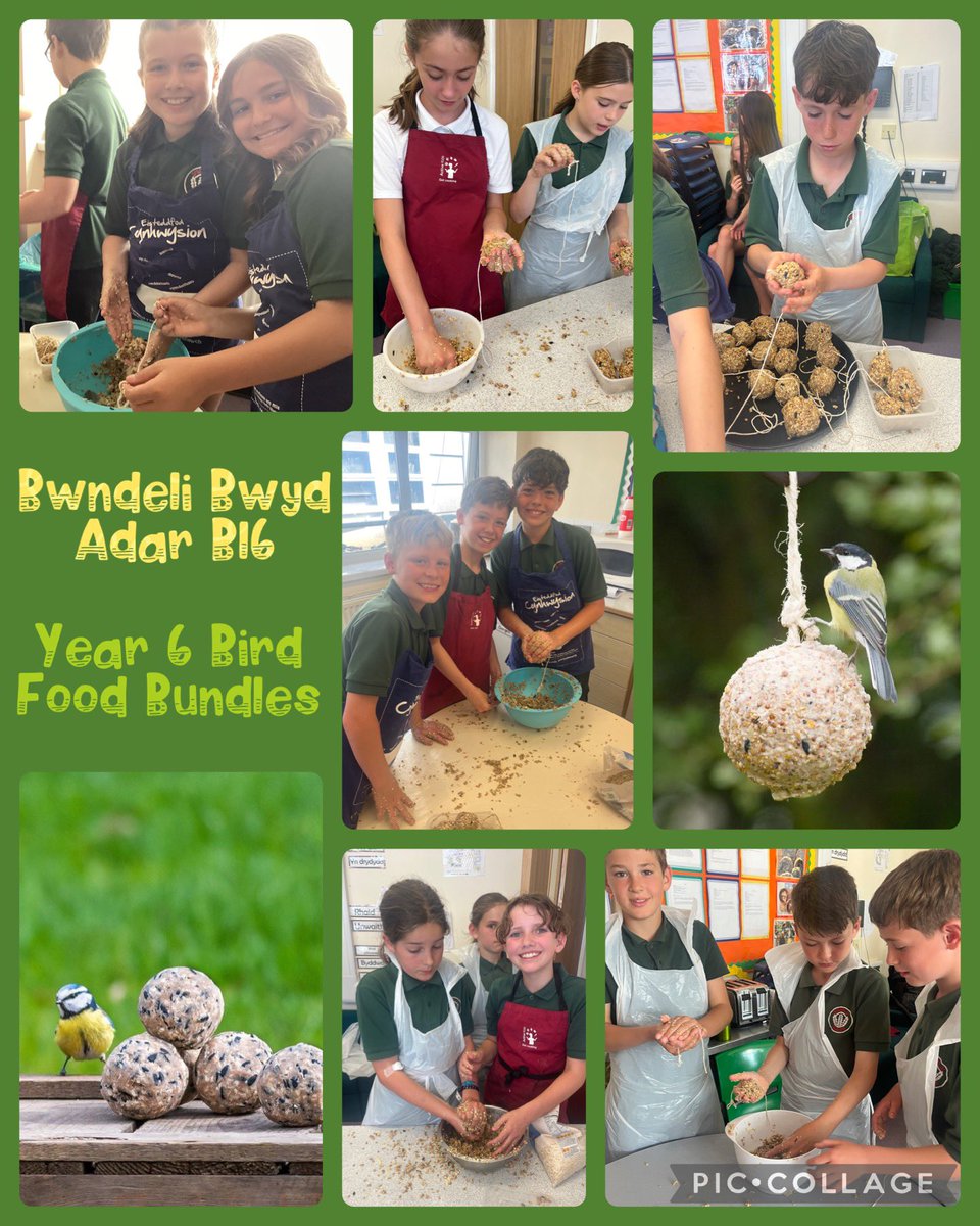 Ysgol Y Wern (@trydarywern) on Twitter photo Bl6 wedi bod yn brysur heddiw yn creu Bwndeli Bwyd Adar! Ar werth am 50c yn y Ffair Haf! π€
Yr 6 have been busy preparing bird food bundles today to be placed in gardens. These bundles, priced at 50p each, will be sold during the Summer Fayre! Please support their enterprise! Bl6 wedi bod yn brysur heddiw yn creu Bwndeli Bwyd Adar! Ar werth am 50c yn y Ffair Haf! π€
Yr 6 have been busy preparing bird food bundles today to be placed in gardens. These bundles, priced at 50p each, will be sold during the Summer Fayre! Please support their enterprise!