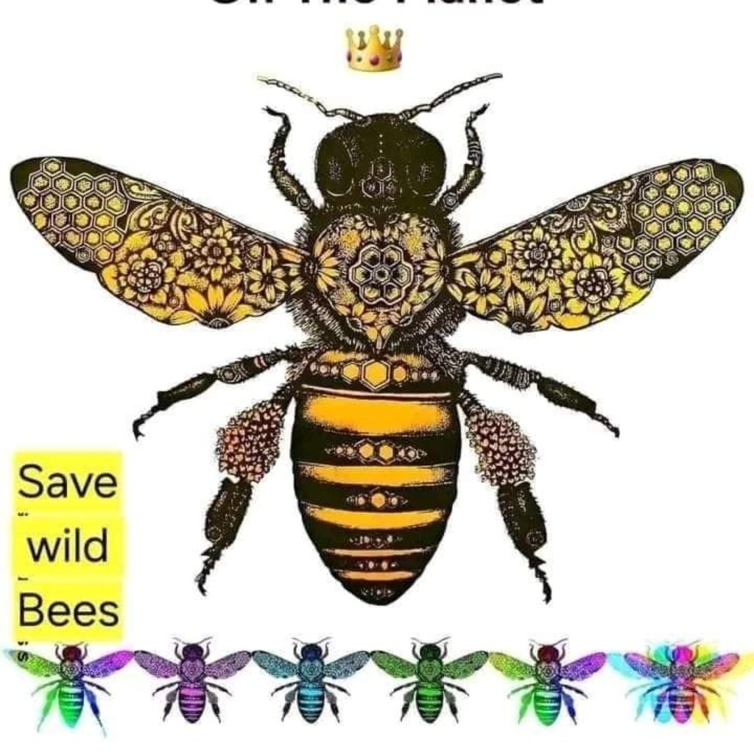 Pollen Buzz Initiative tweet media