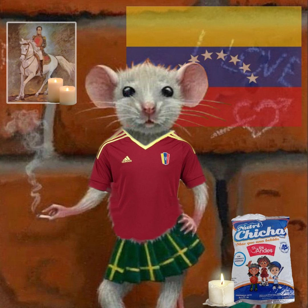 Mis pronombres son vene/zuela, no soy ni bi ni hetero, soy vinotinto, lo que recorre por mis venas no es sangre, es la fe. Mi padre Simón Bolivar me dio la vida y La vinotinto ganas de vivirla.