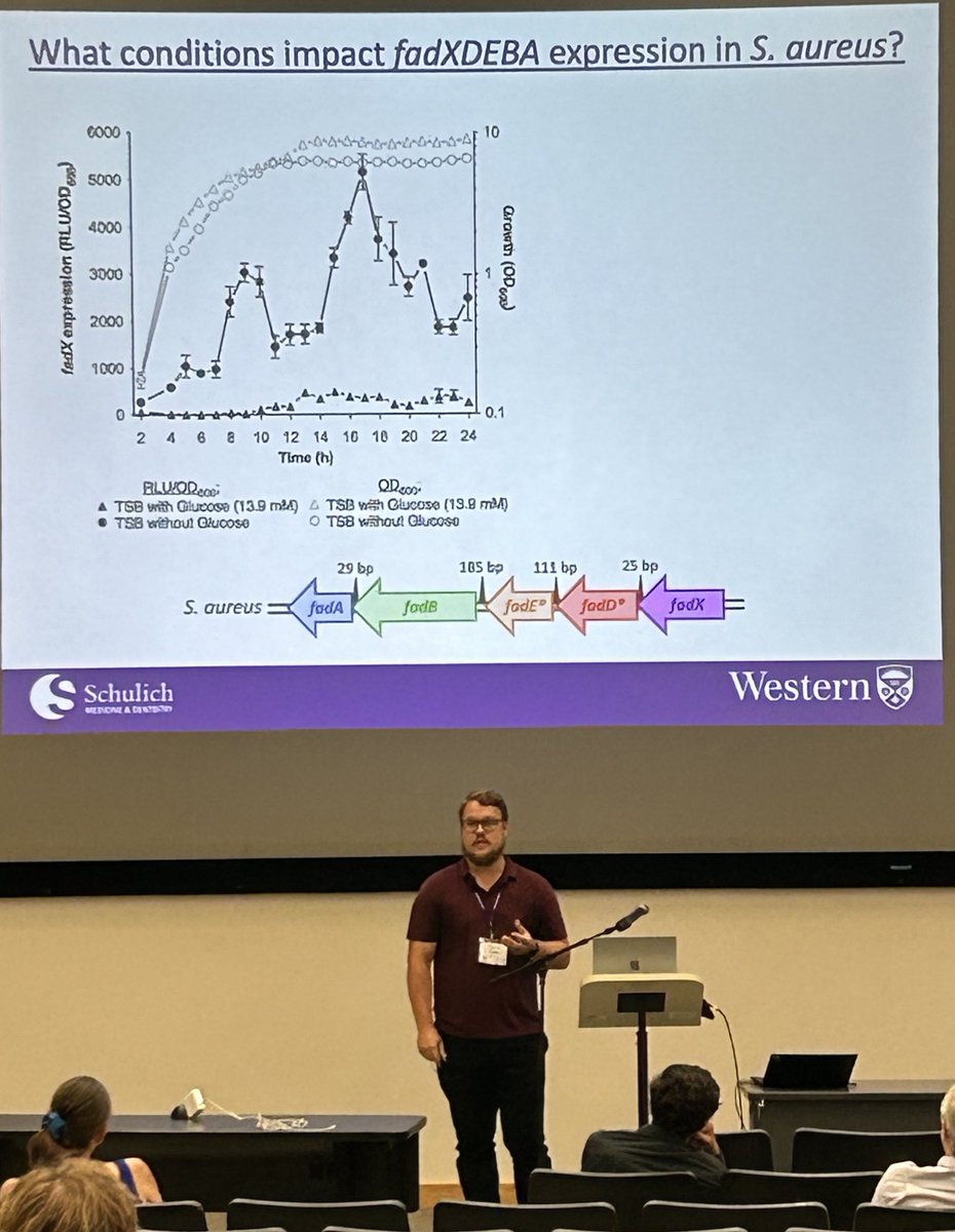 Kait Al (@kait_al) on Twitter photo Rounding out the postdoc symposium <a href="/CSM_SCM2024/">CSM 2024 Conference</a> <a href="/CSM_SCM/">Canadian Soc. Micro.</a>, <a href="/RobbieKuiack/">Robbie Kuiack</a> from <a href="/McGavLab/">McGavin Lab</a> discusses how exogenous fatty acids promote the growth of S. aureus via B-oxidation. Fantastic work by all presenters! #csm2024 Rounding out the postdoc symposium <a href="/CSM_SCM2024/">CSM 2024 Conference</a> <a href="/CSM_SCM/">Canadian Soc. Micro.</a>, <a href="/RobbieKuiack/">Robbie Kuiack</a> from <a href="/McGavLab/">McGavin Lab</a> discusses how exogenous fatty acids promote the growth of S. aureus via B-oxidation. Fantastic work by all presenters! #csm2024