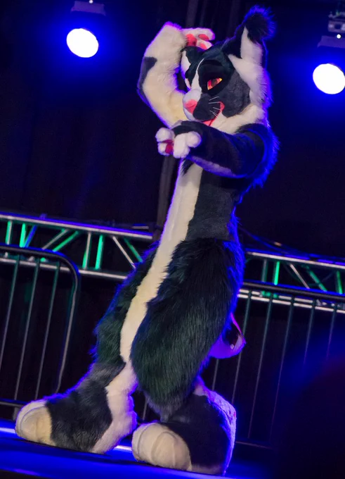 could you imagine if I pulled up in my warrior cats oc fursuit those 10 year olds wouldn't stand a chance 