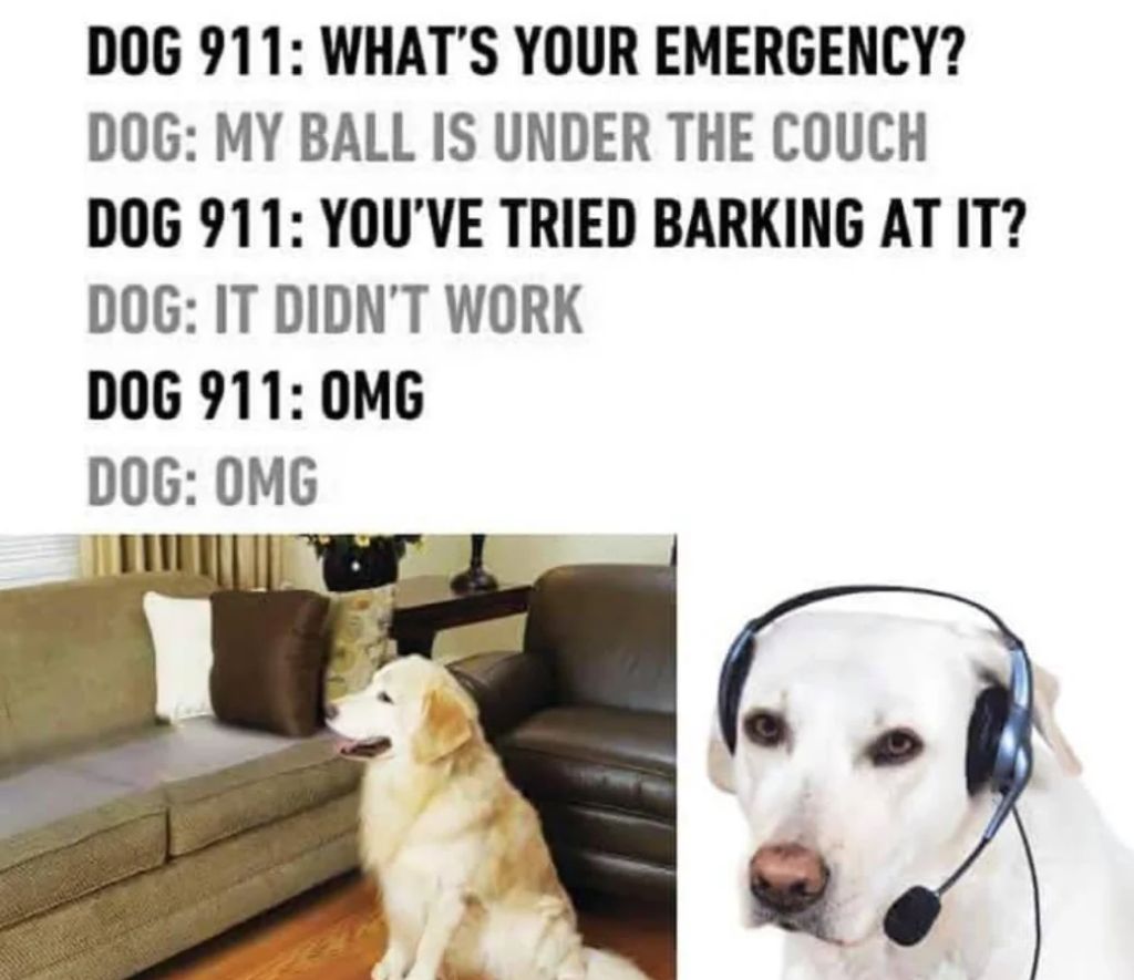 WholesomeMemes (@wholesomememe) on Twitter photo 