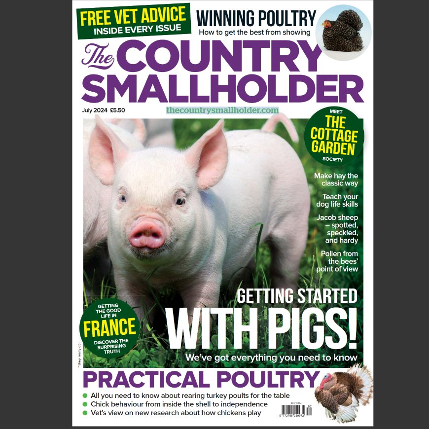 LorraineAuthor's tweet photo. Nice to have another article published in The Country Smallholder Magazine July 2024. #smallholding #smallholder #homesteading #France #foodproducer #backyardfarm #selfsufficiency https://t.co/LlHFdnByrH