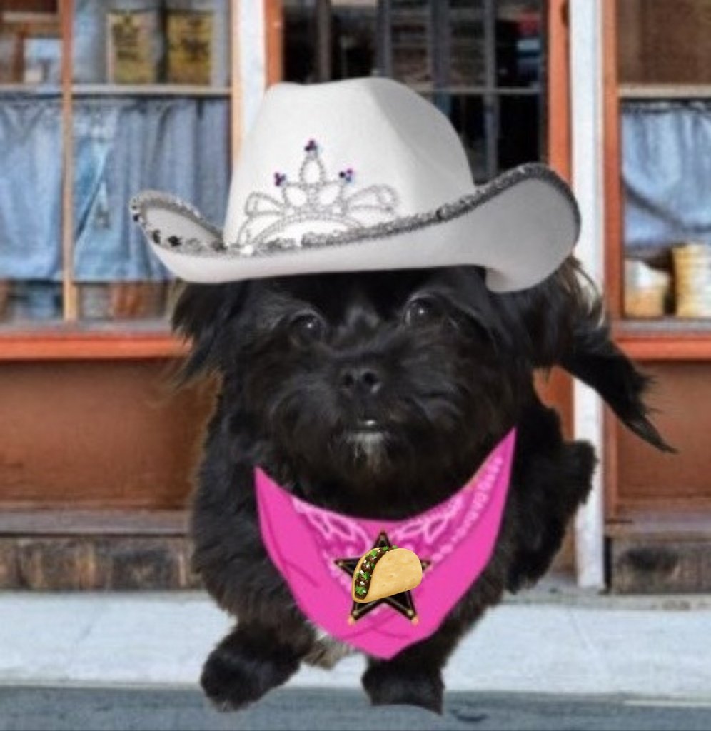 TedNTodd's tweet photo. @gensbazzbiddy I'm ready to kicking up some dust #zzst #zshq #RaaaAaa https://t.co/zbIdxk3tcO