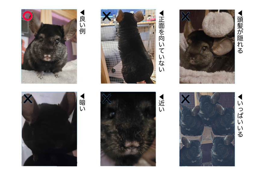 ZachLp26's tweet photo. スカイで学ぶ証明写真の良い例・悪い例 https://t.co/n4THHuu8Vm