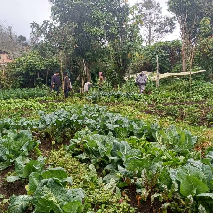 Corponariño mediante la Estrategia de Reconversión, realizó una jornada de capacitación sobre reconversión, apicultura y manejo de huertas agroecológicas, espacio en el cual se abordó la temática relacionada con la prevención de incendios de cobertura vegetal.
#corponariño