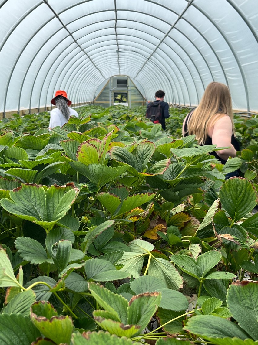 ACEeducators's tweet image. What a great day! It was filled with multiple visits to various co-ops in the region. Here are some of the first pictures coming from North Dakota!

Tonight is the big night with the ACE Banquet starting soon! 

#ACEInstitute2024 #CultivatingCooperation #CooperativeEducation