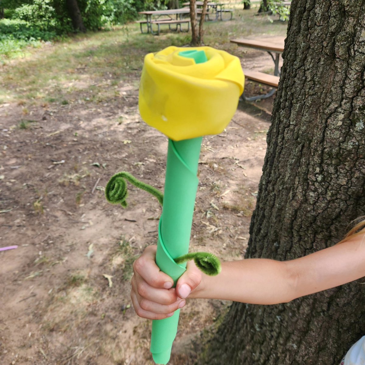 UrbanAdvSquad's tweet image. Check out these aquatic plant models! #SquadMembers created their models using foam sheets to mimic the hydrophobic leaves we've observed. Then they tested them in a pond simulation.

@KenAqGardens

#JuniorRangerAdventureSquad
#ThisIsOutdoorLearning 
#CityAsAClassroom