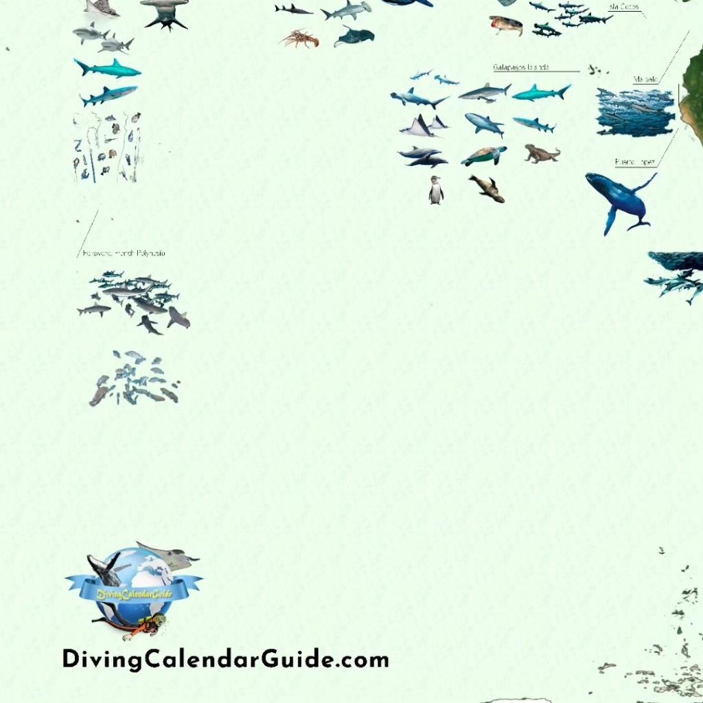 CalendarGuide tweet picture
