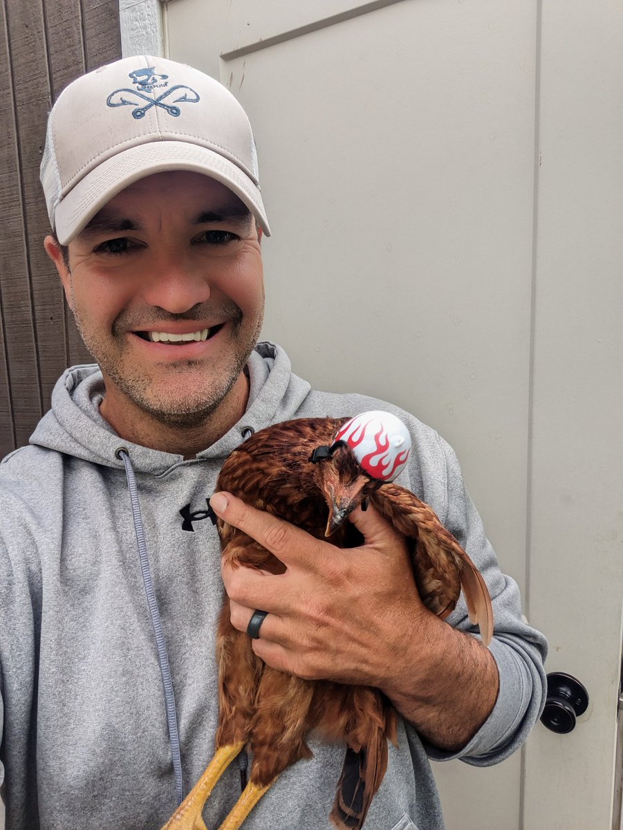 Joshua | FreaknLinkin tweet media