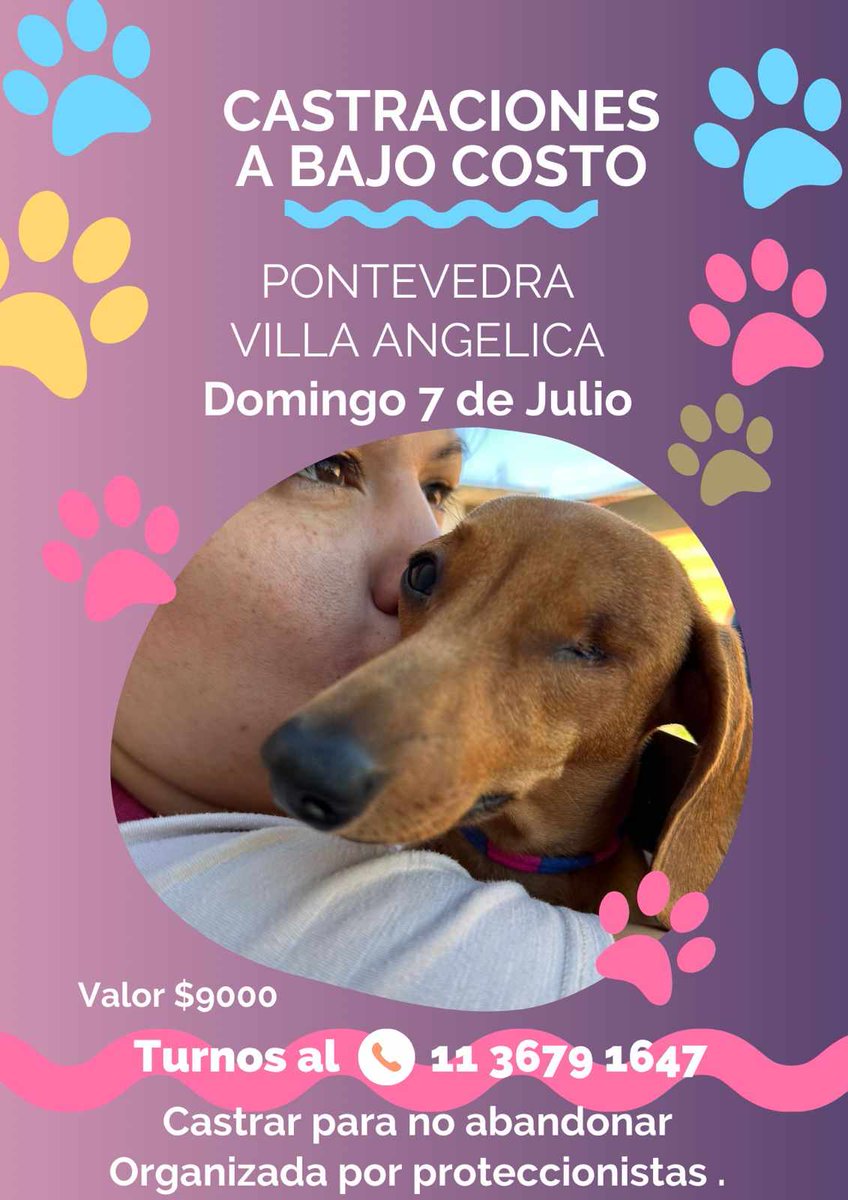 masxmasPA63's tweet photo. MORENO Y MERLO: Campañas castración BAJO COSTO. Organizadas X proteccionistas. Pedir turno C nombre y apellido Perro/a? Gato/a? Mayor de 5 meses. Solamente mensaje escrito por WHATSAPP. NO RESPONDE LLAMADOS NI MENSAJES DE VOZ. ACLARAR QUÉ CAMPAÑA ELIGEN. Gracias por difundir.- https://t.co/tMPc7hMEUy