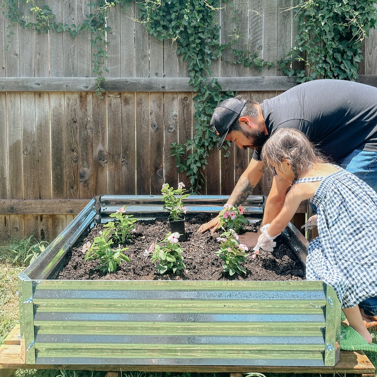 arrowstorage's tweet photo. A pink flower garden is always a win in our books! 🌸✨
https://t.co/MWWrBtnoP7

#GardenGoals #FlowerPower #PinkParadise #Shelterlogic #ArrowGardenBed https://t.co/I9CFqzRIT5