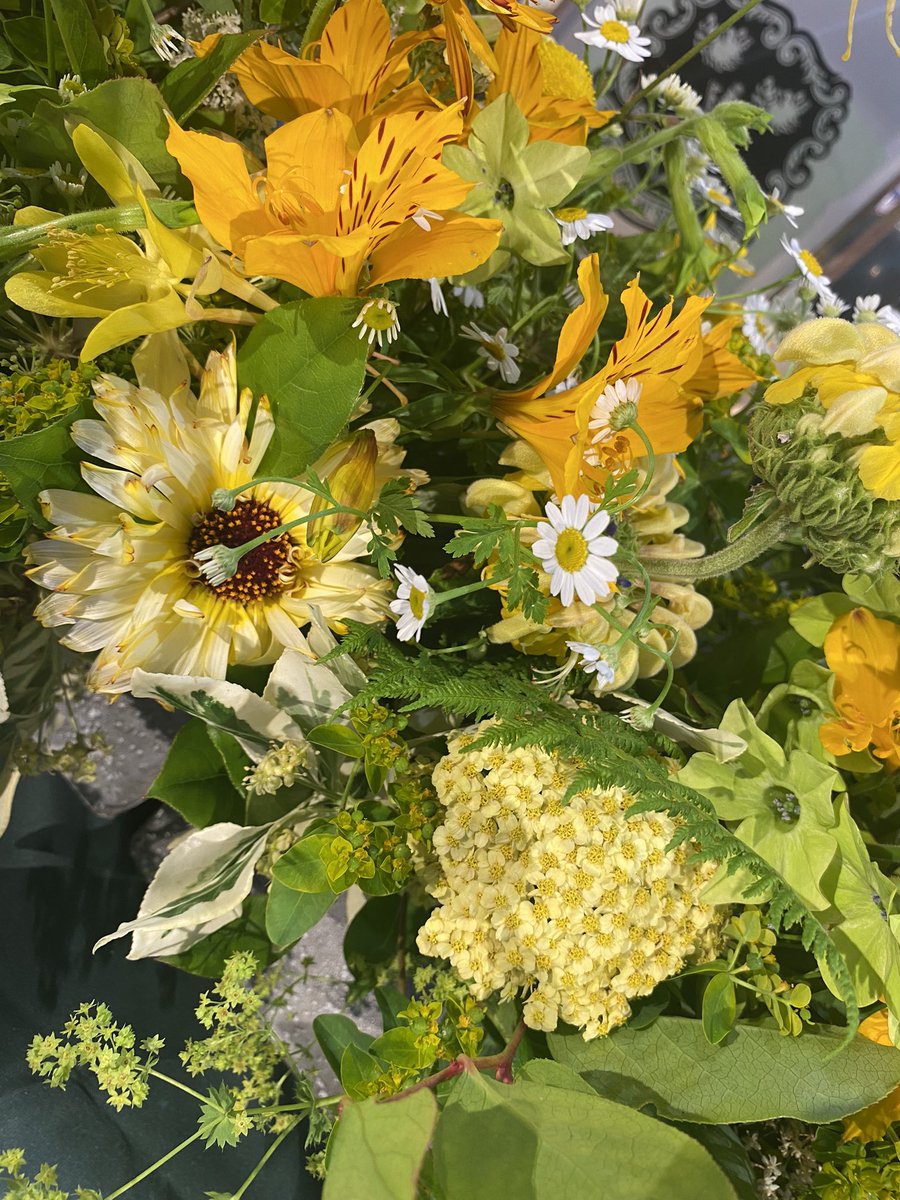 burchell_susie's tweet photo. Thank you to an amazing team of staff, pupils, parents and community for another year doing great things together #milnesmakesadifference #blessed 💛💚 Awards 2024 🌟⭐️ https://t.co/Olf3LmwkJm