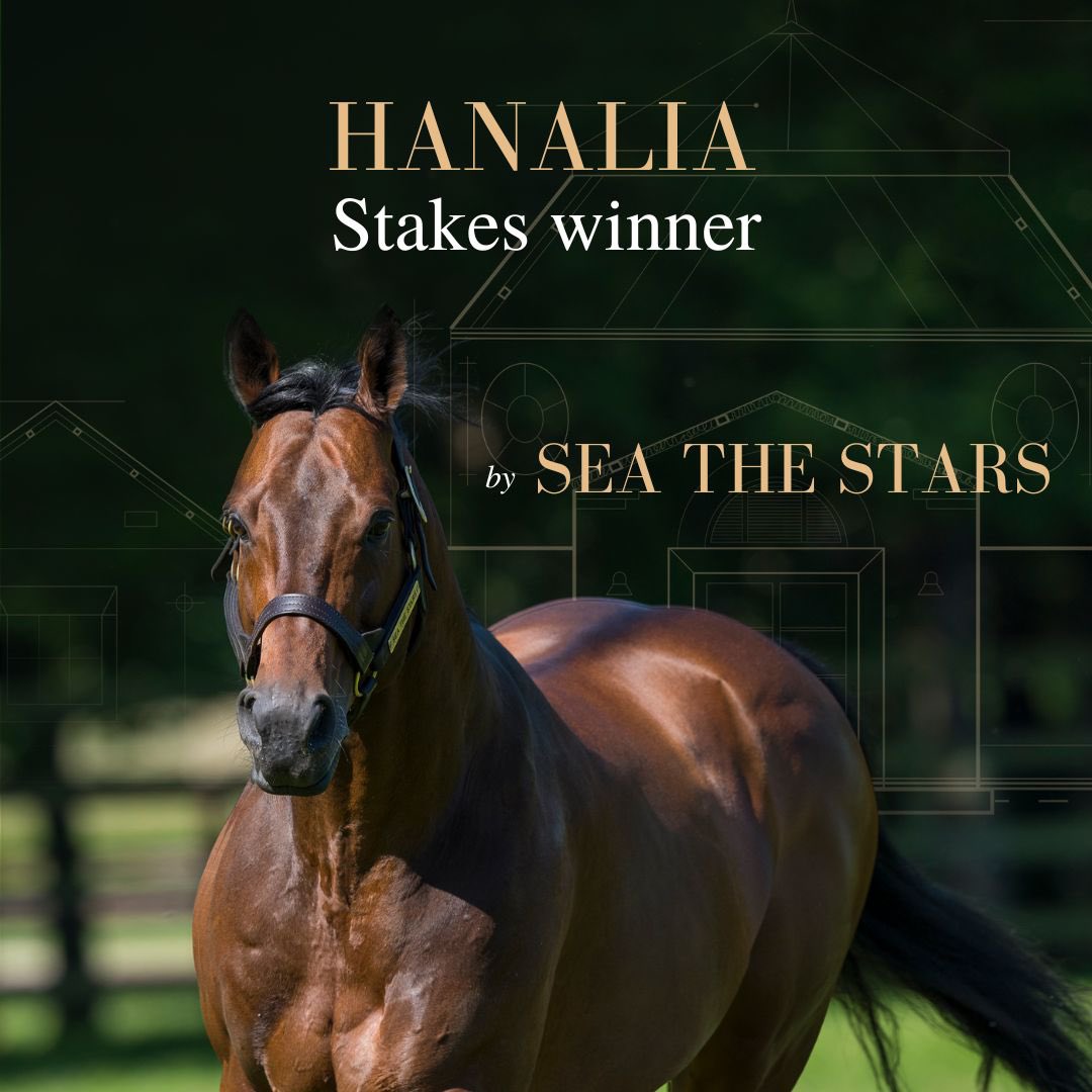 AgaKhanStuds's tweet photo. 🏆 #Hanalia stepped up in class and won her 2nd consecutive race, the Listed Naas Oaks Trial on her 3rd outing. Trainer @jpmurtaghracing said: “She’s not big, but has a good turn of foot”
The daughter of #SeaTheStars is the 3rd SW out of her dam, from the family of #Harzand https://t.co/GDPGfkntFd