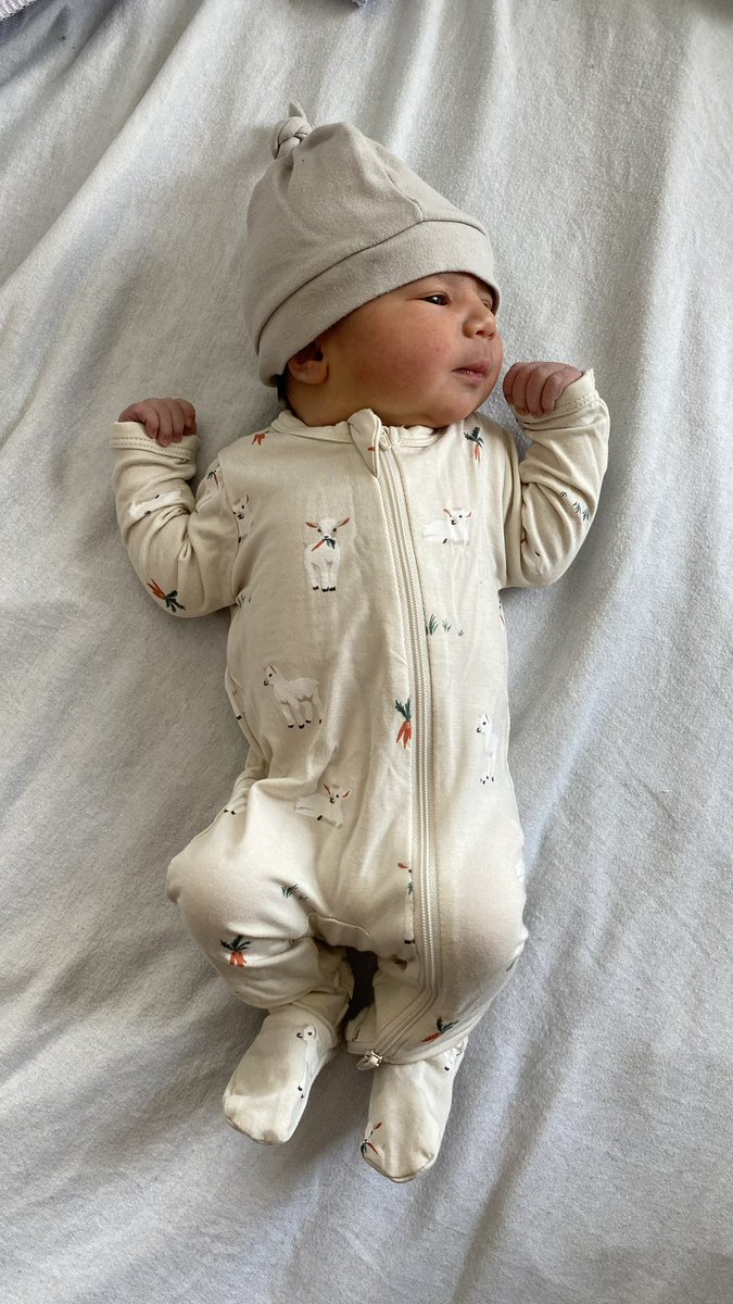 Michelle Johnston tweet media