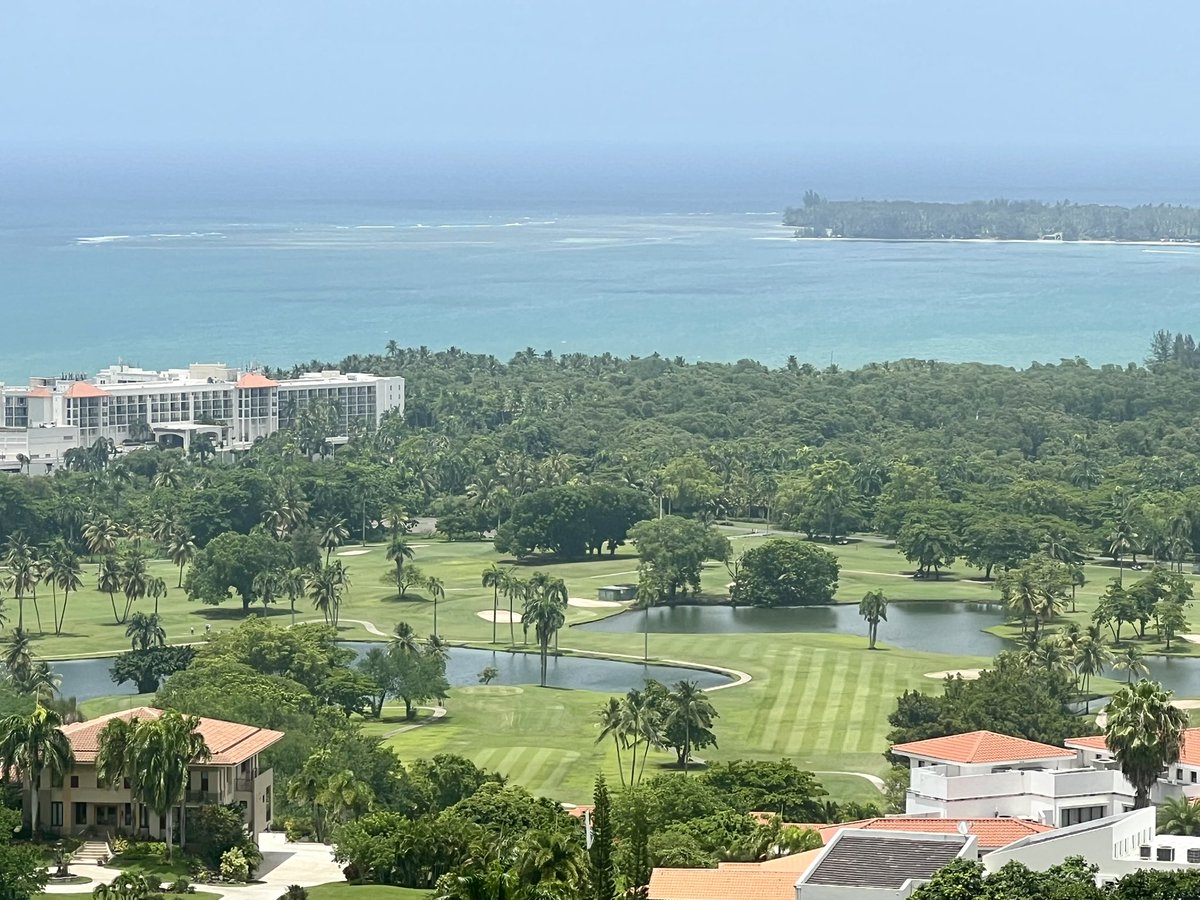 OscarETenorio's tweet image. Can’t go to “La Isla del Encanto” 🇵🇷 and not have lunch at Richie’s with a Medalla Light and great company! 

*added benefit of a great view of these fairways #IronMaid and #Propel

@TrigonTurf 
@FloratineFoliar 
@TurfMamba 
@NinjaTines