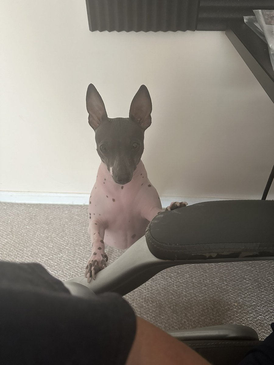 Maddmike (@maddmike_722) on Twitter photo 